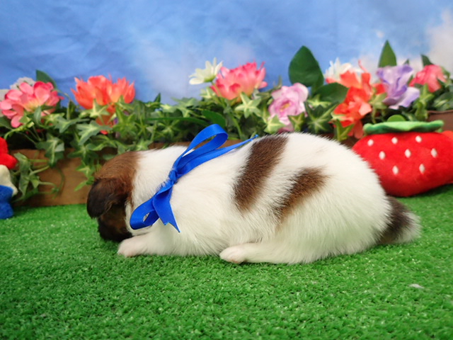 赤ちゃん写真2-2
