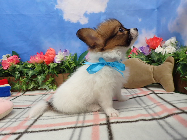 赤ちゃん写真3-2