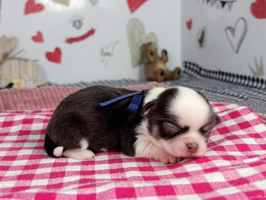 赤ちゃん写真1-2