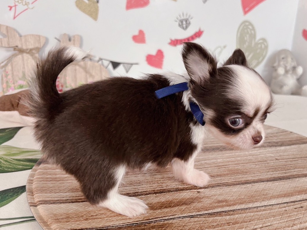 赤ちゃん写真2-2