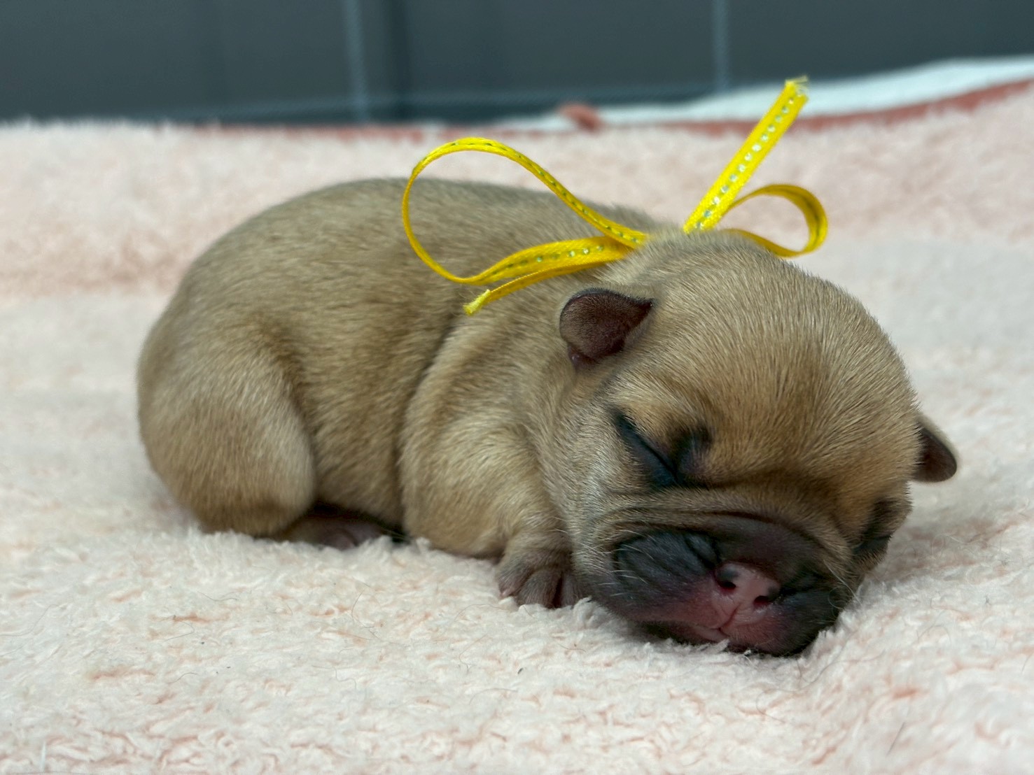 赤ちゃん写真1-2