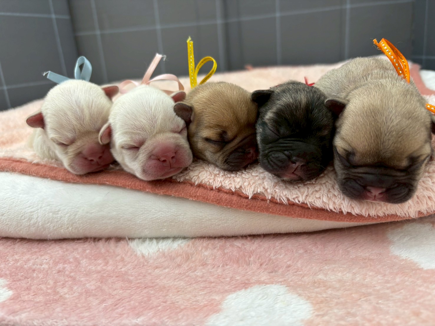 赤ちゃん写真1-3