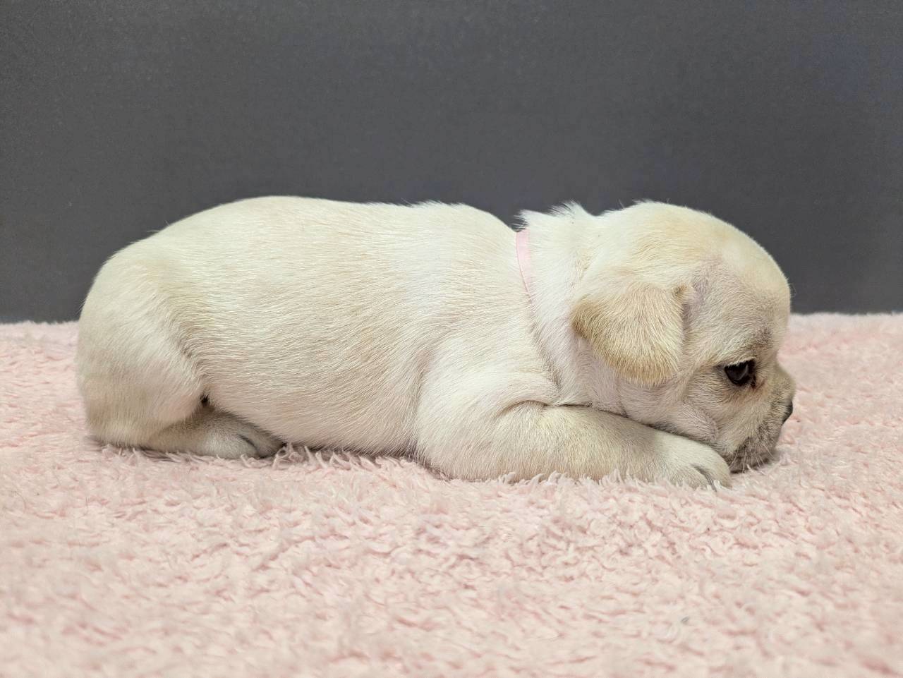 赤ちゃん写真2-2