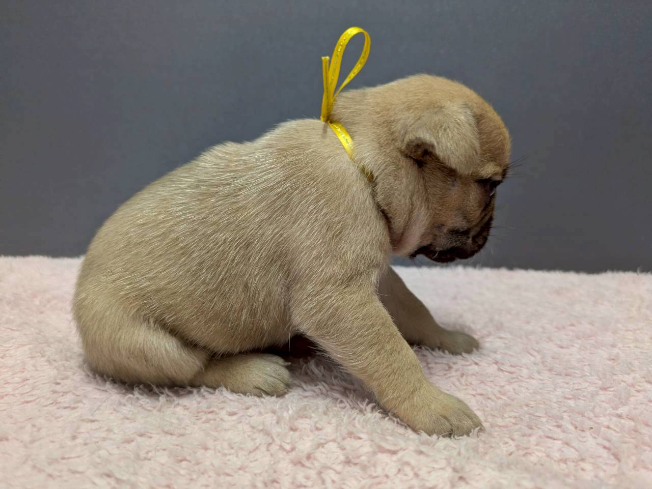 赤ちゃん写真2-2