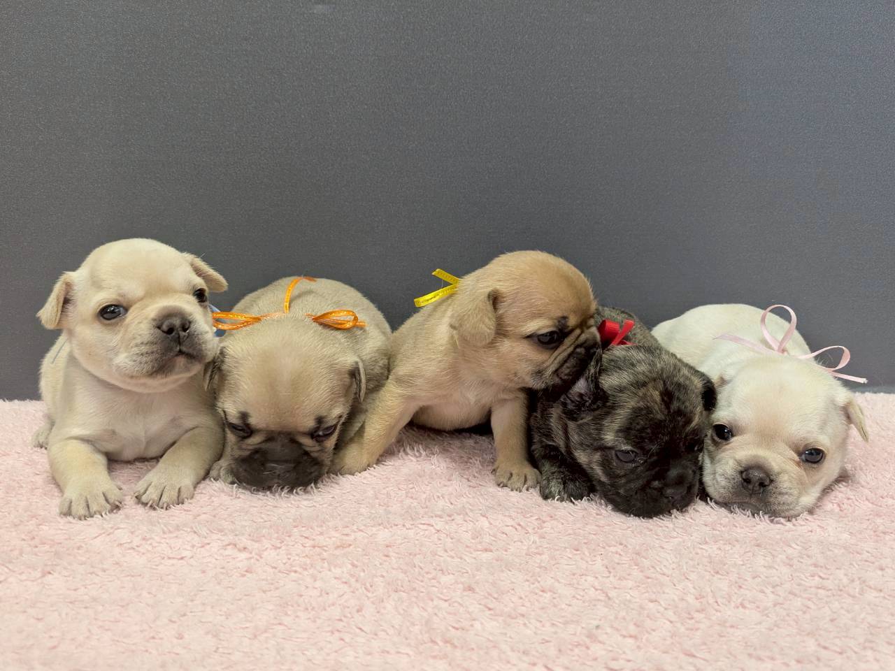 赤ちゃん写真2-3