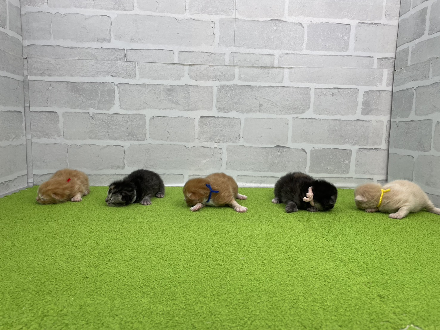 赤ちゃん写真1-3