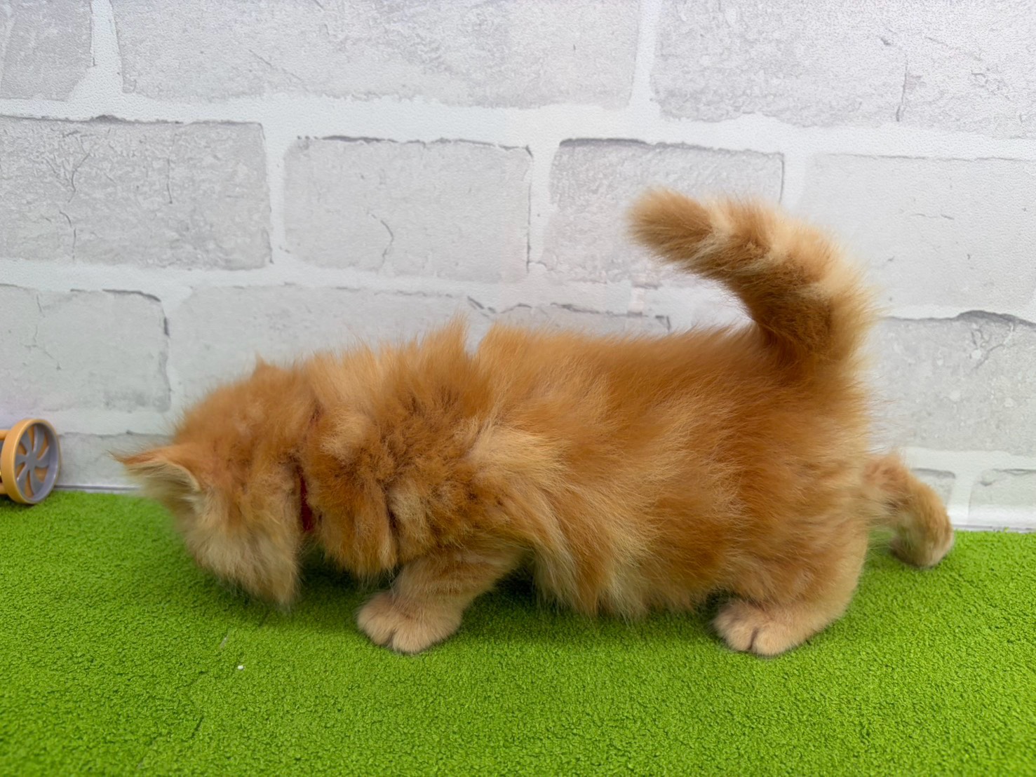 赤ちゃん写真2-2