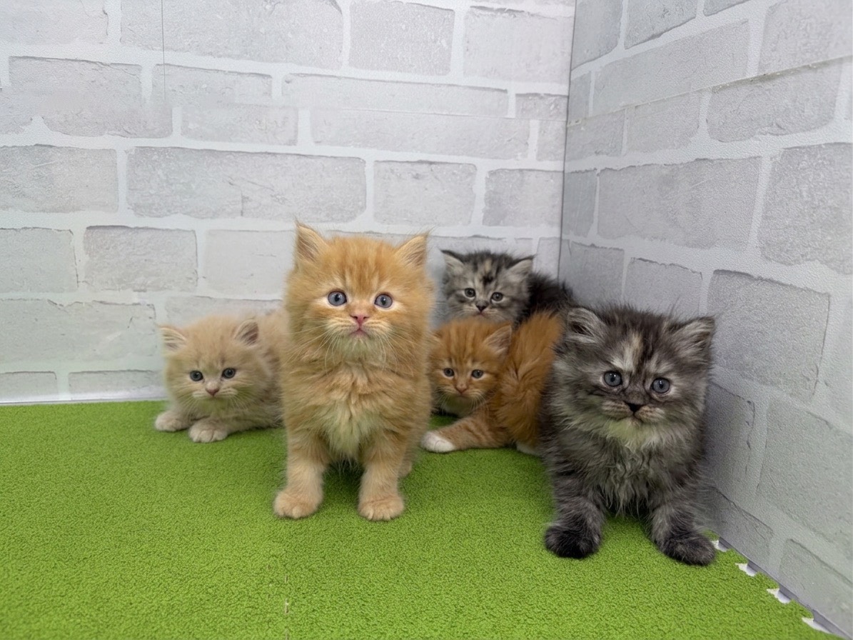 赤ちゃん写真2-3