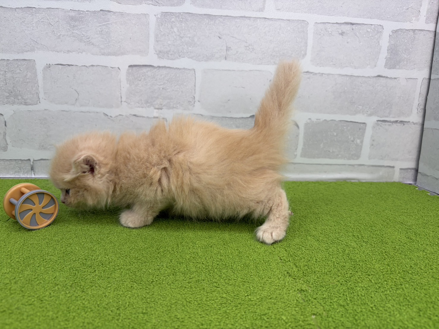 赤ちゃん写真2-2