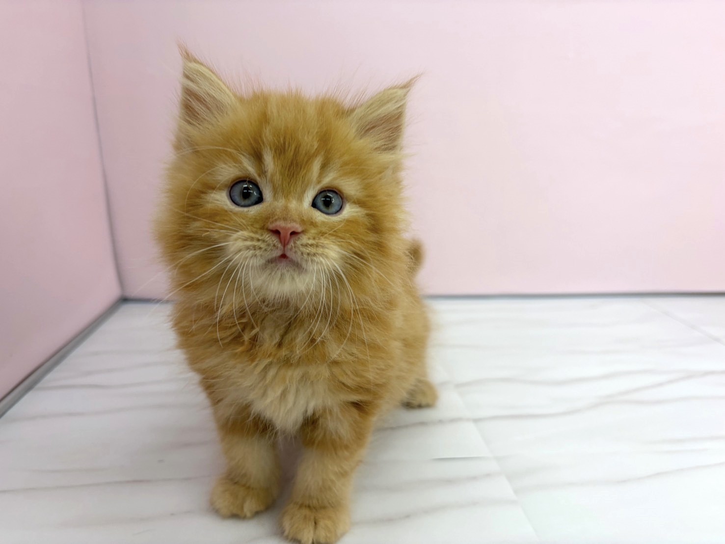 赤ちゃん写真3-1