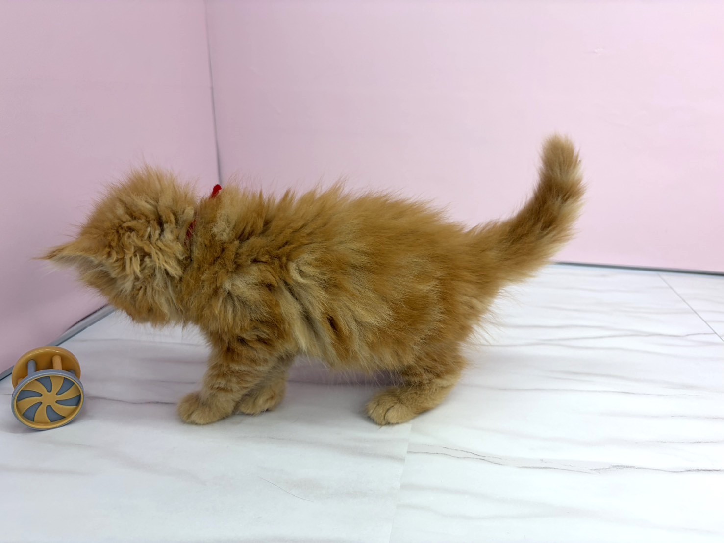 赤ちゃん写真3-2