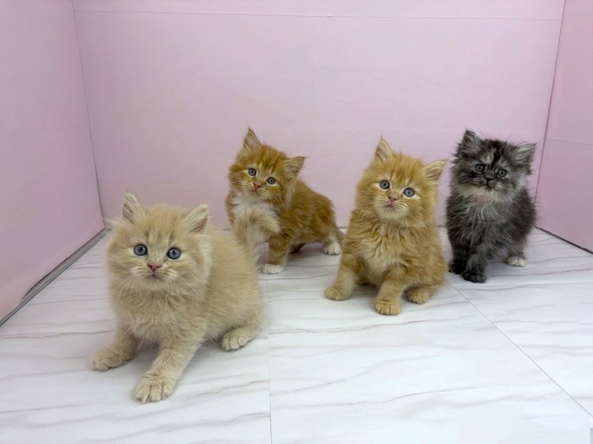 赤ちゃん写真3-3