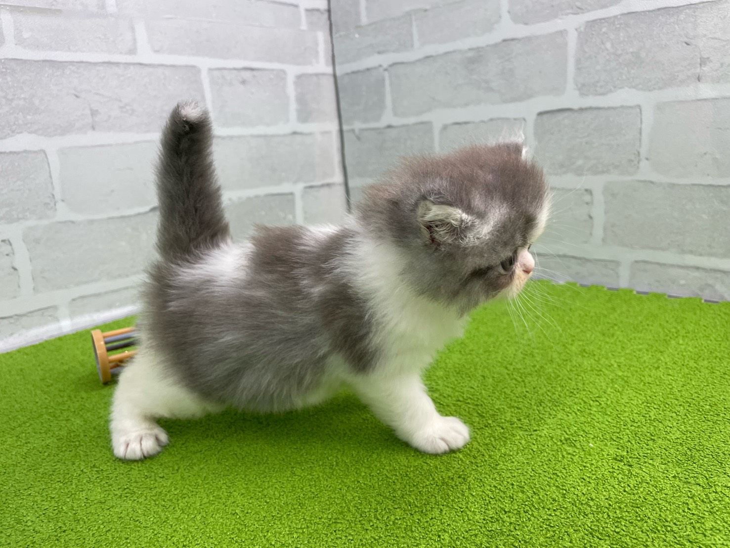 赤ちゃん写真2-2