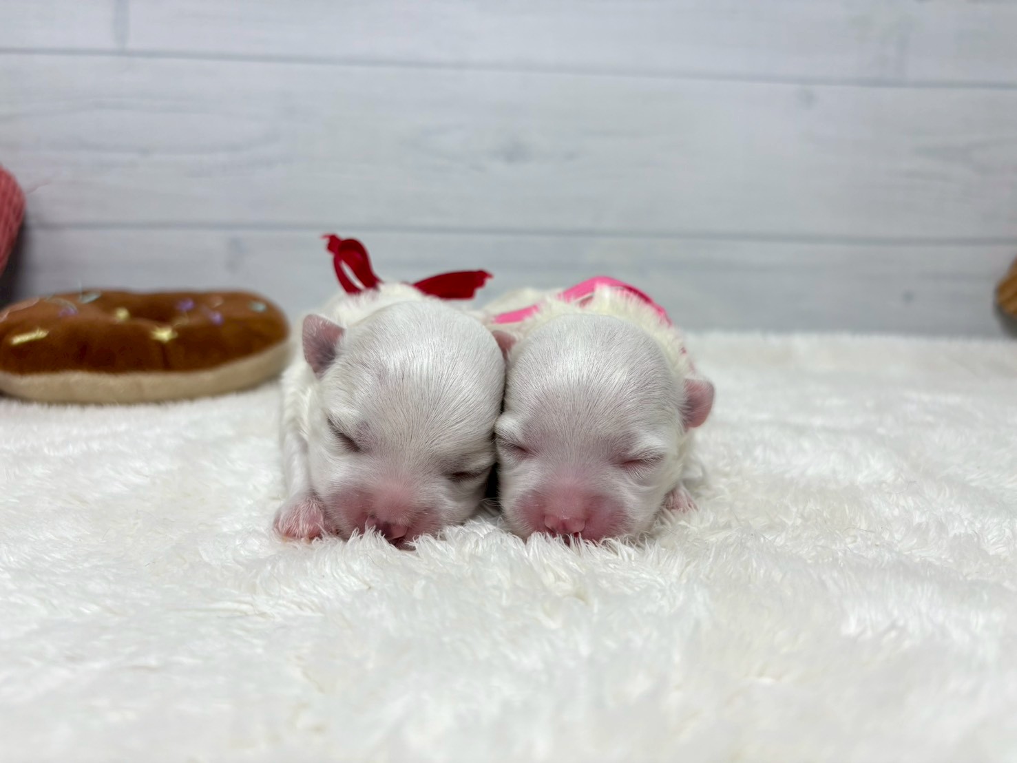 赤ちゃん写真1-3