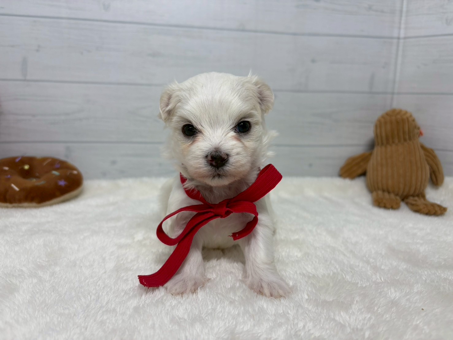 赤ちゃん写真2-1