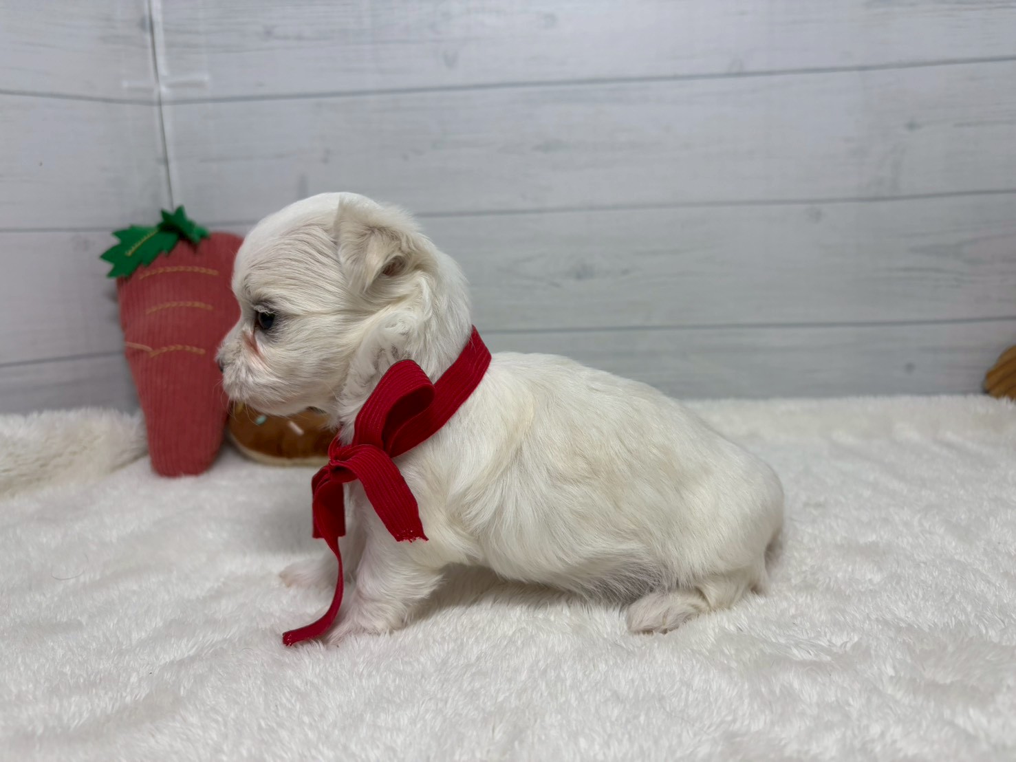 赤ちゃん写真2-2