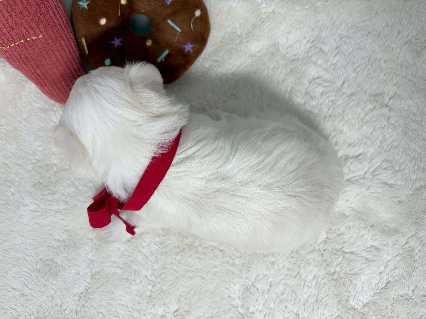 赤ちゃん写真2-3