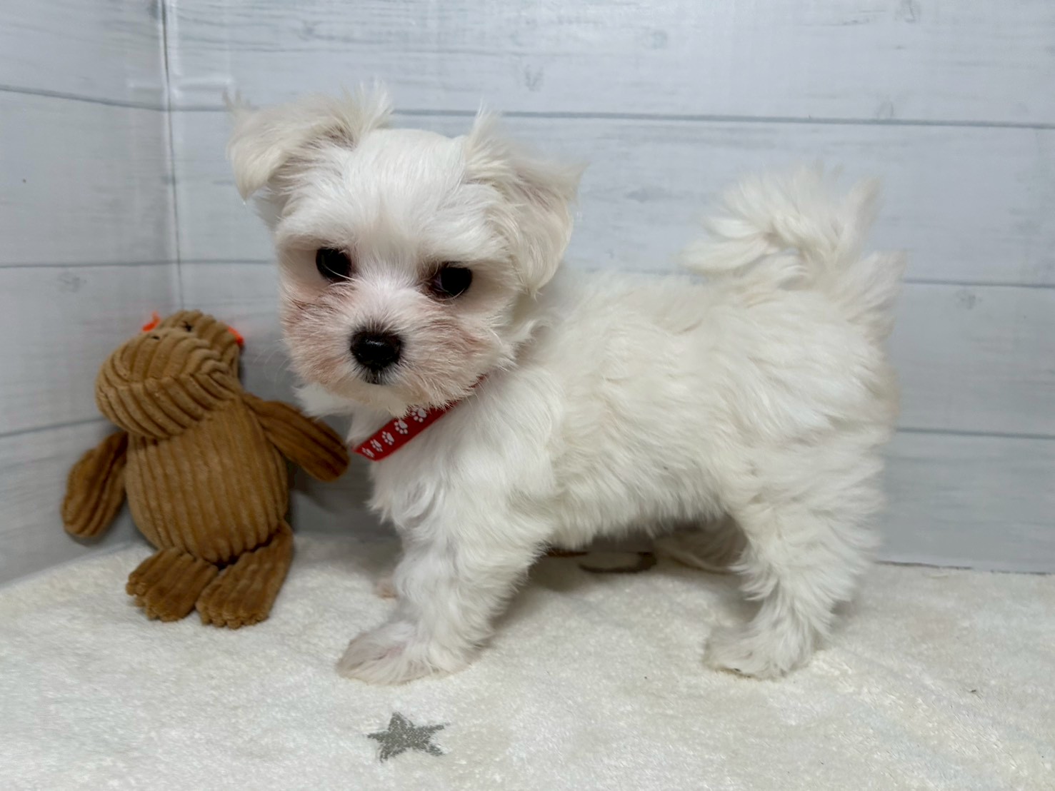 赤ちゃん写真3-1