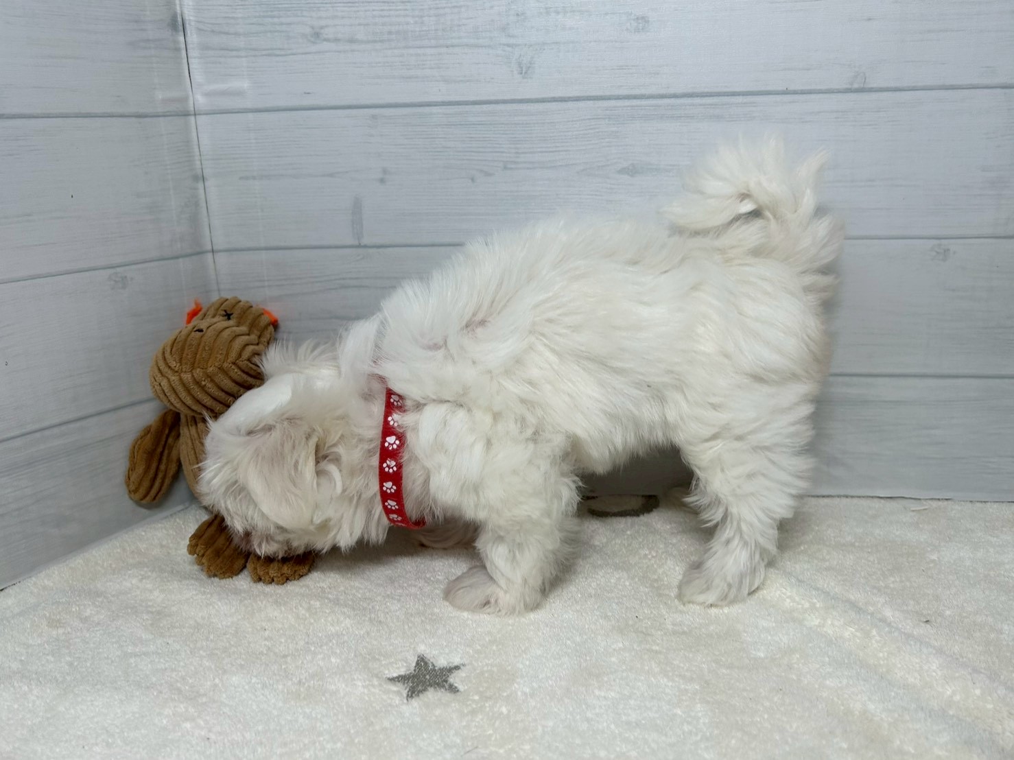 赤ちゃん写真3-2