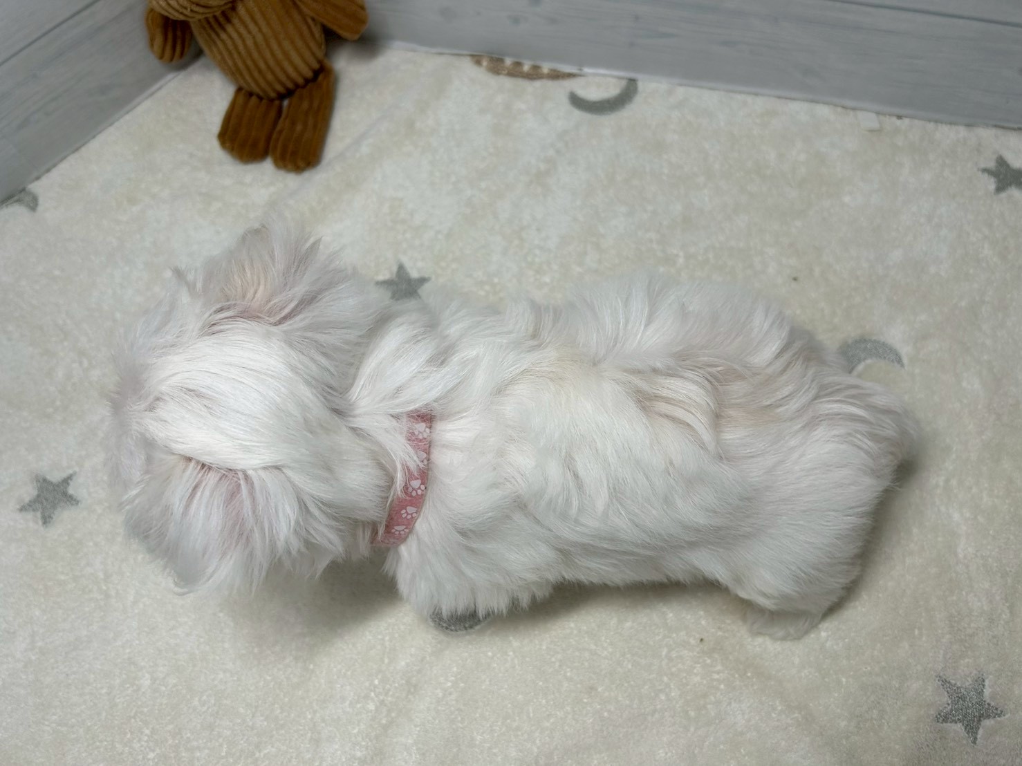 赤ちゃん写真3-3