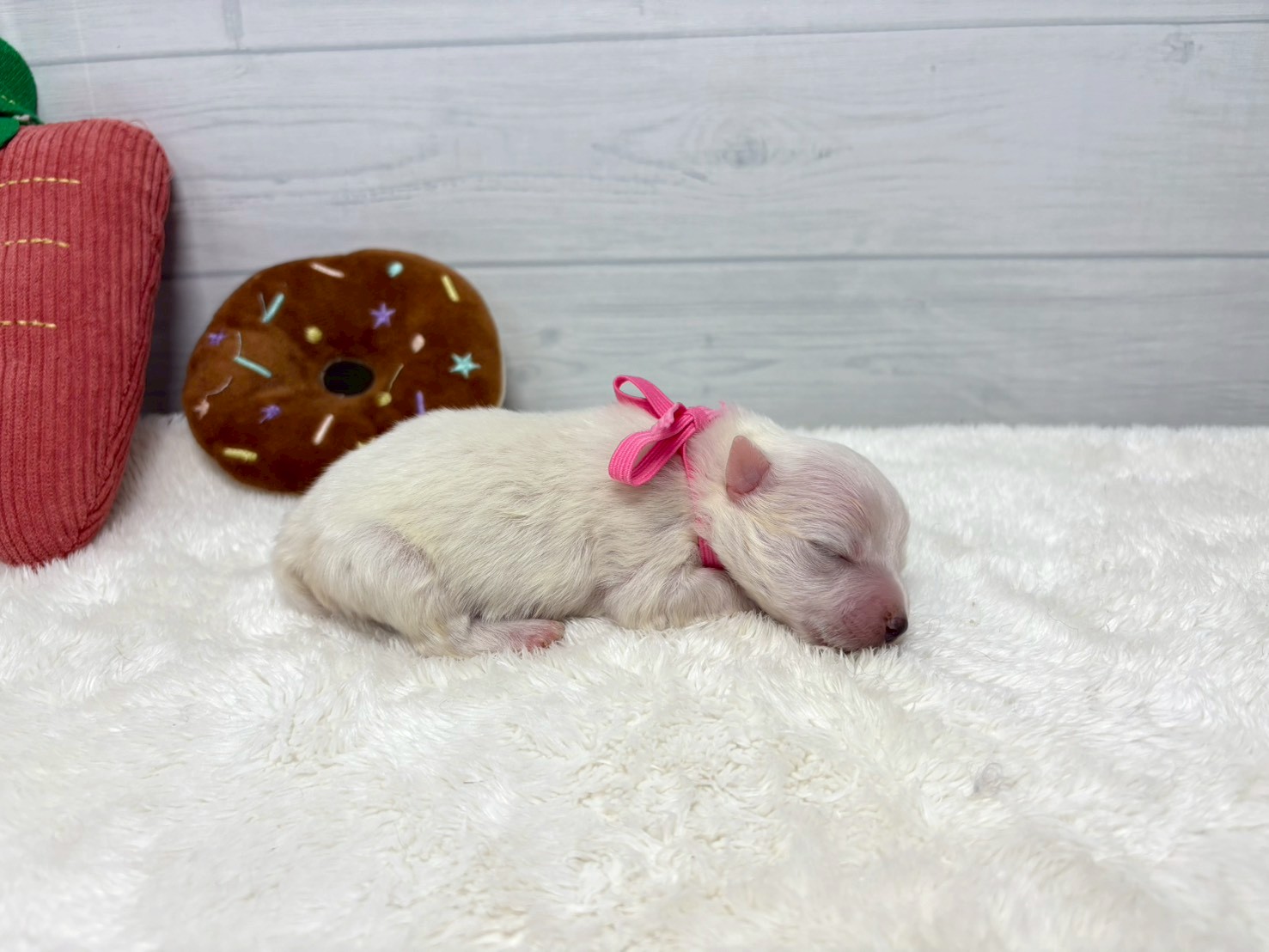 赤ちゃん写真1-2