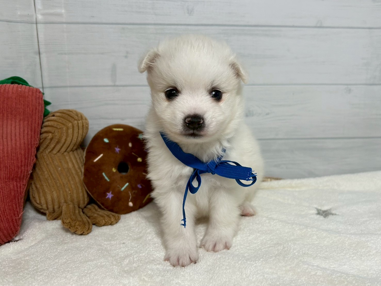 赤ちゃん写真2-1