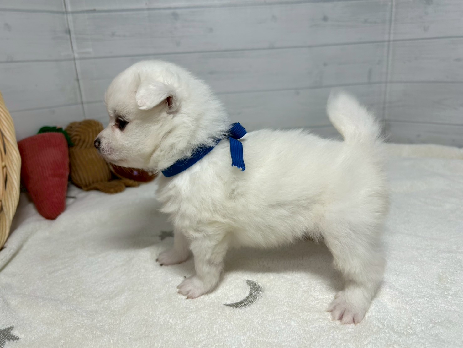 赤ちゃん写真2-2