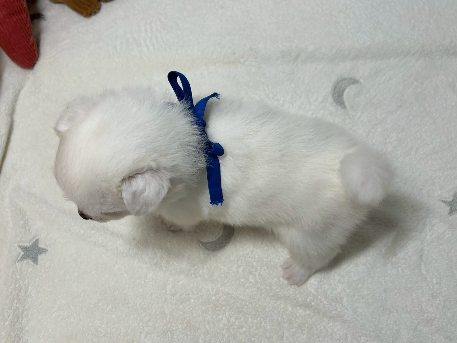 赤ちゃん写真2-3