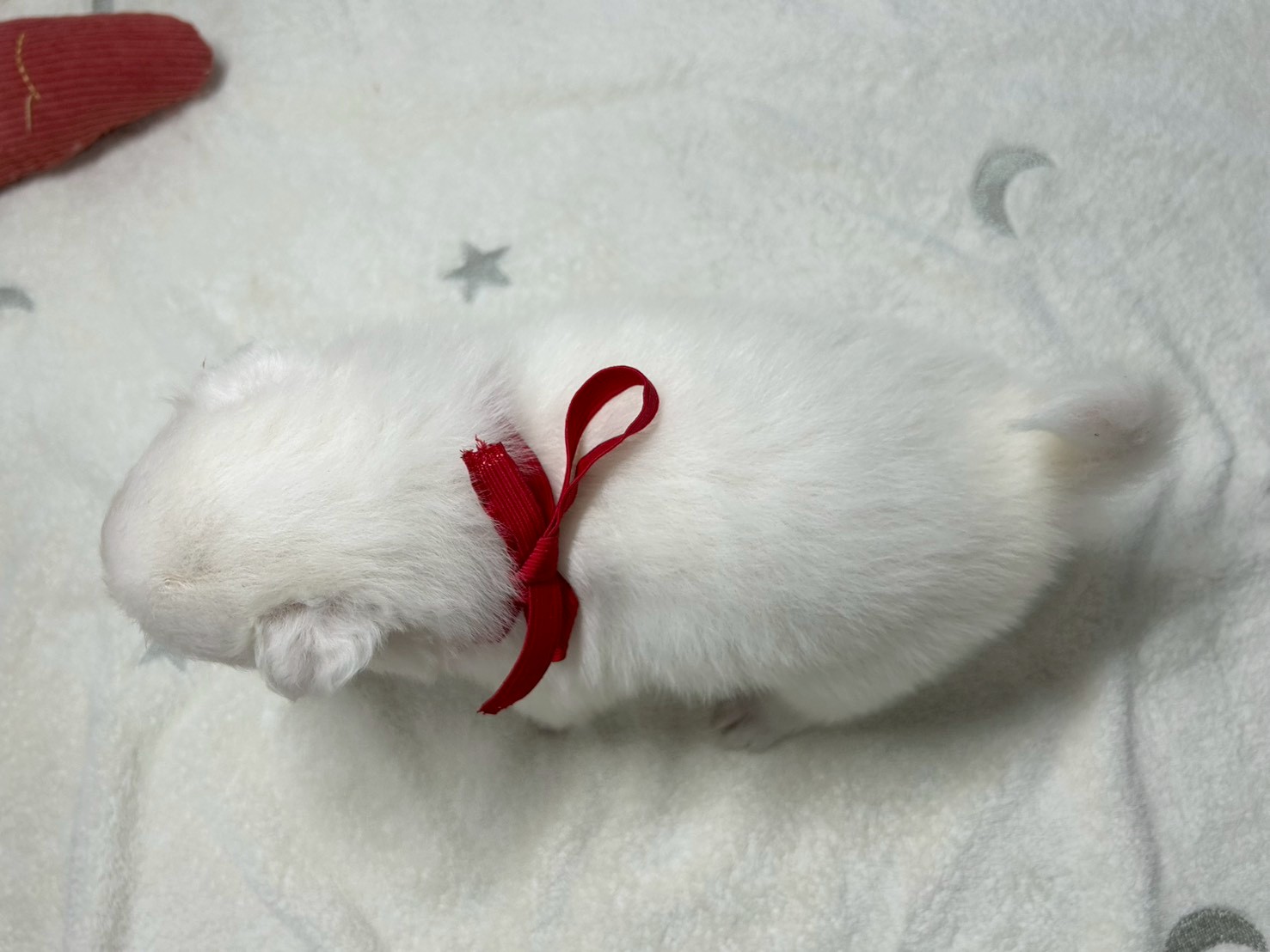 赤ちゃん写真2-3