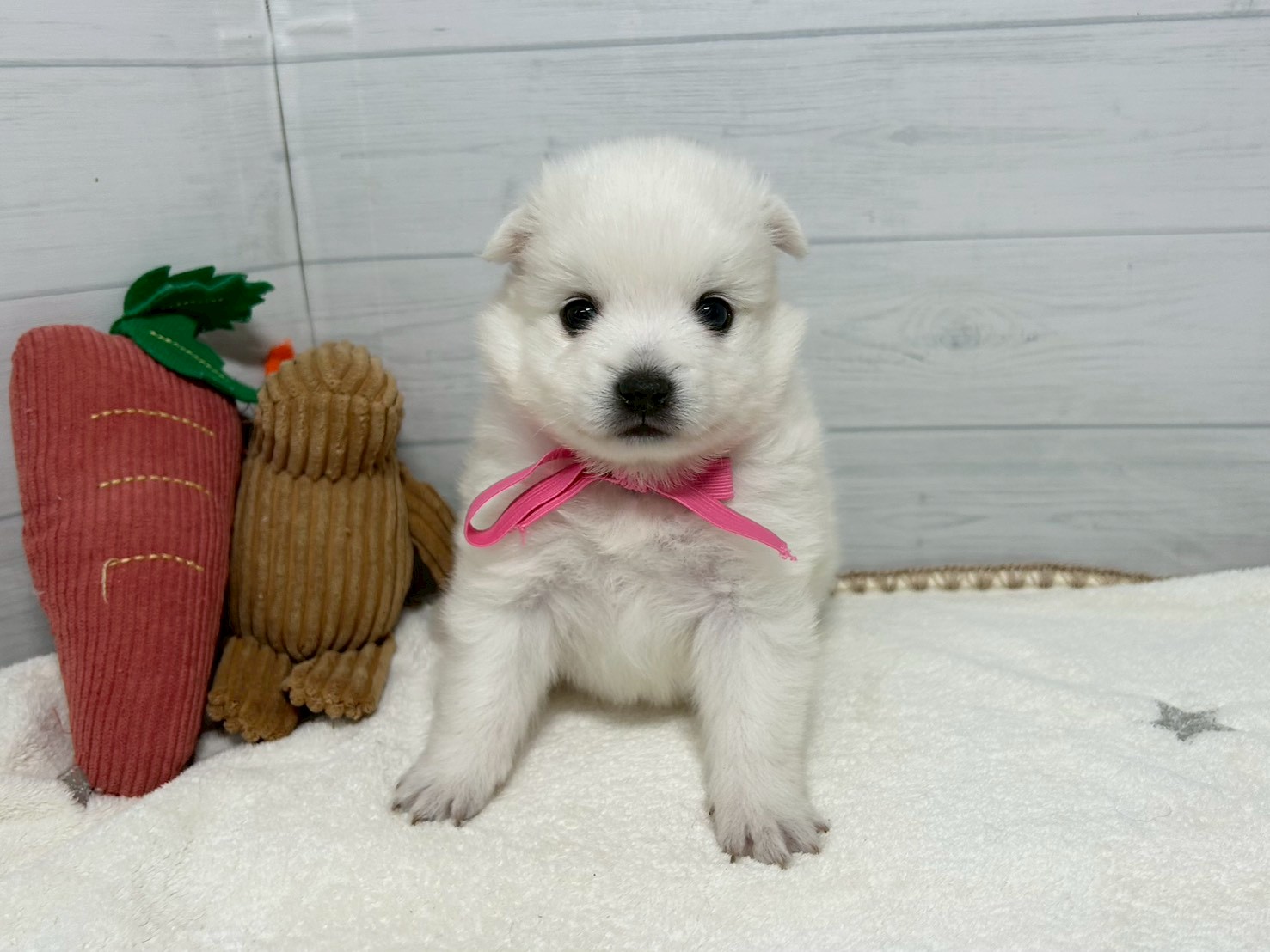 赤ちゃん写真2-1