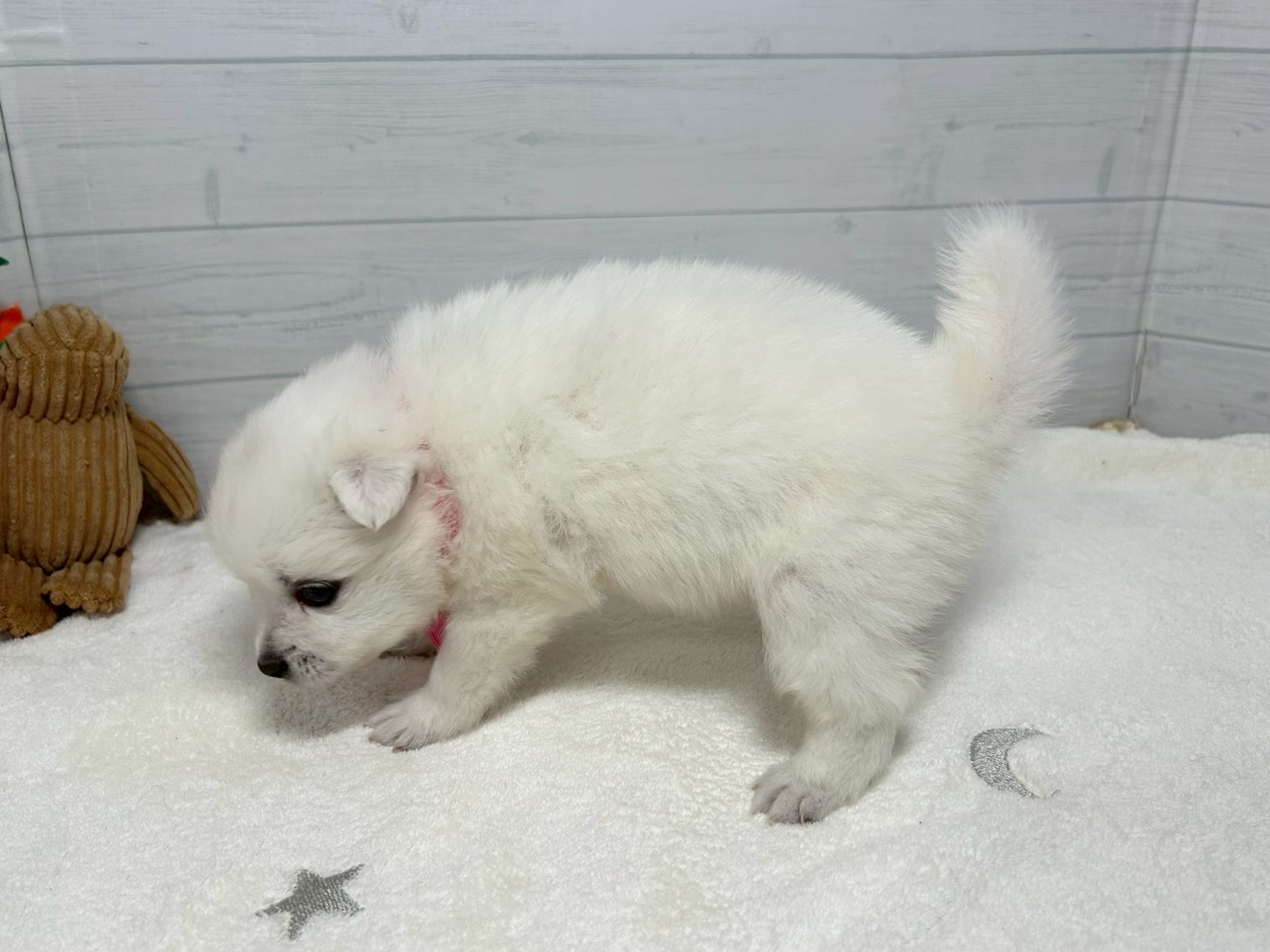 赤ちゃん写真2-2