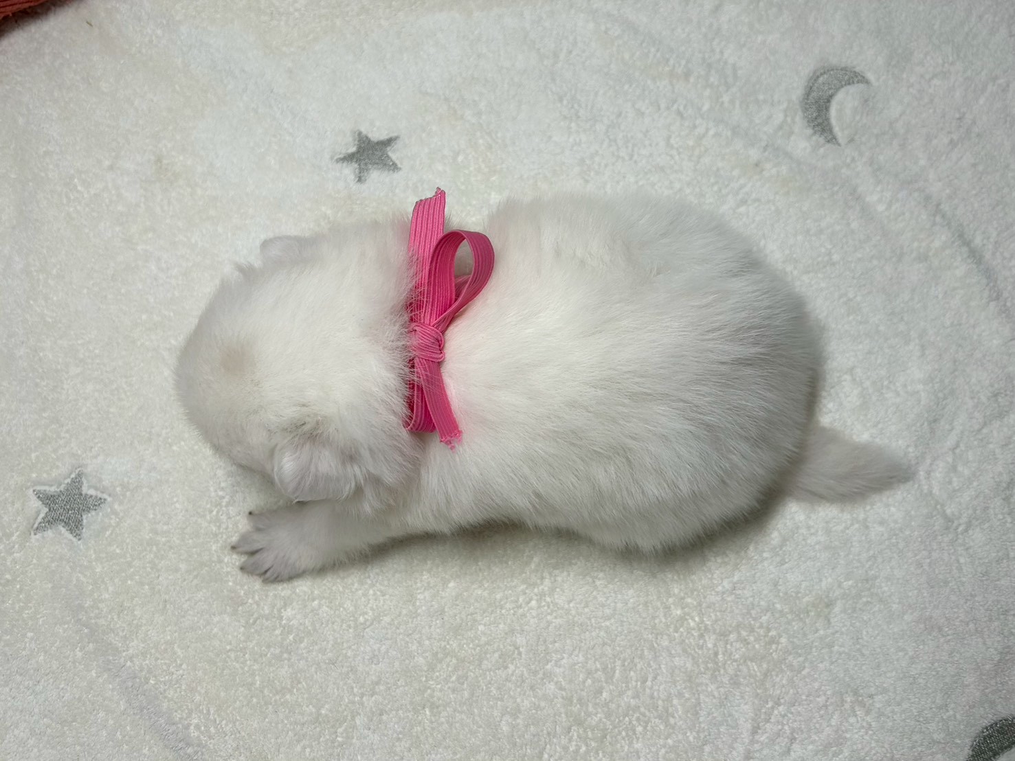 赤ちゃん写真2-3