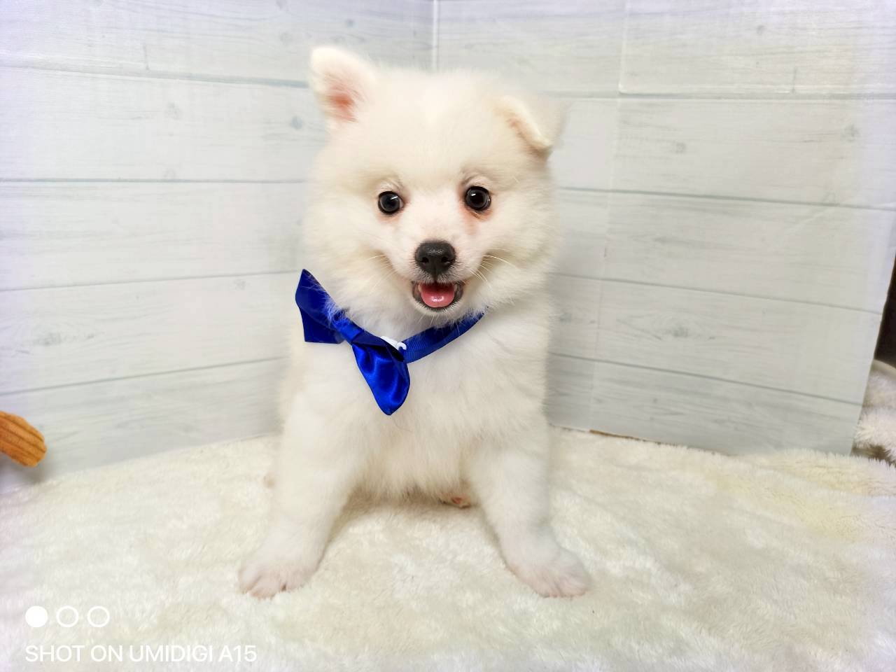 赤ちゃん写真3-1