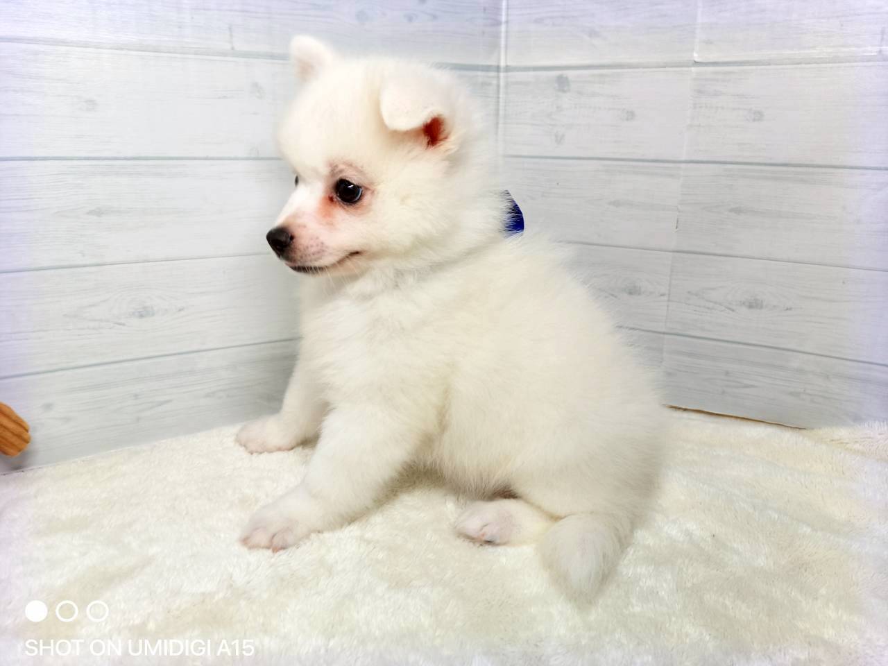 赤ちゃん写真3-2