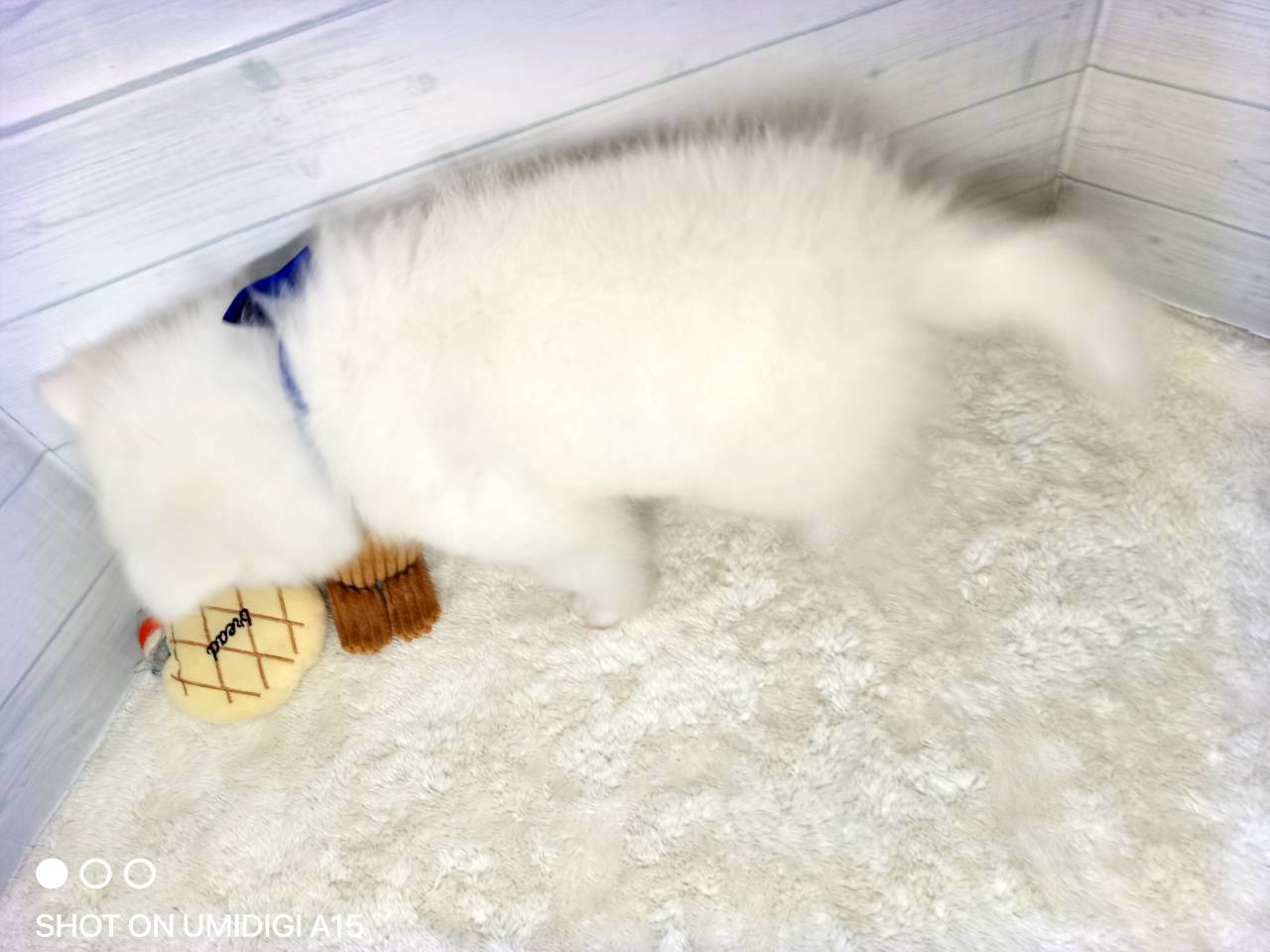 赤ちゃん写真3-3