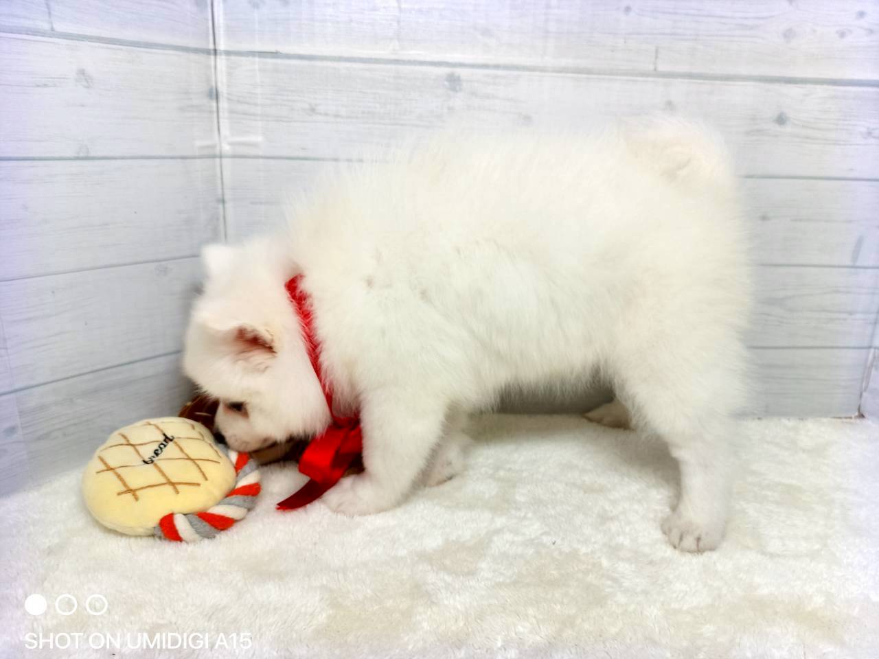 赤ちゃん写真3-2