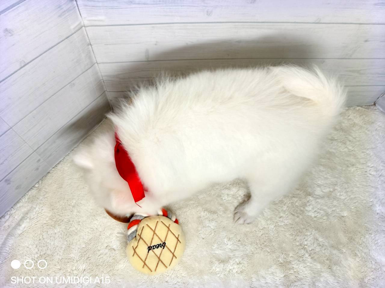 赤ちゃん写真3-3