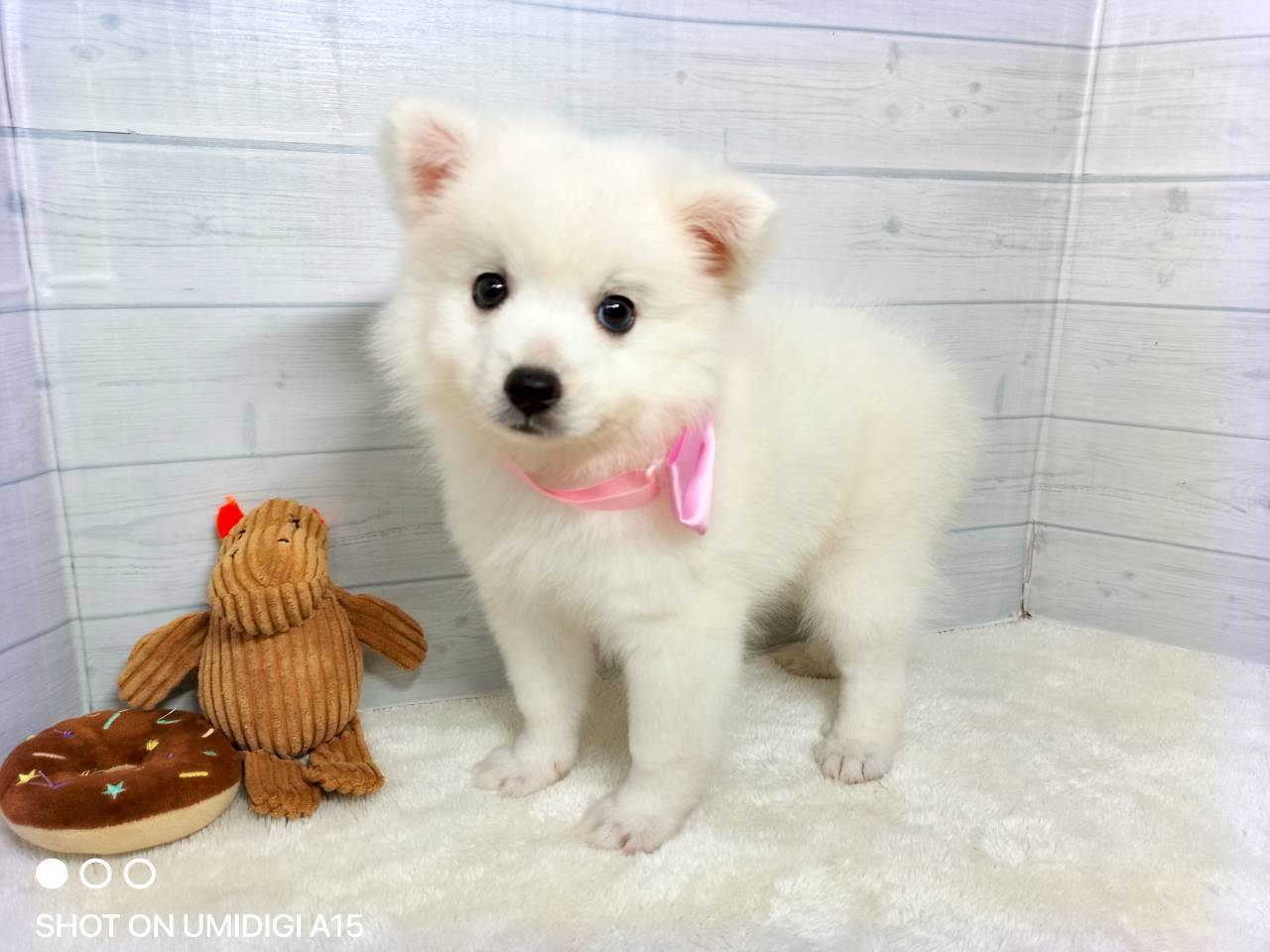 赤ちゃん写真3-1