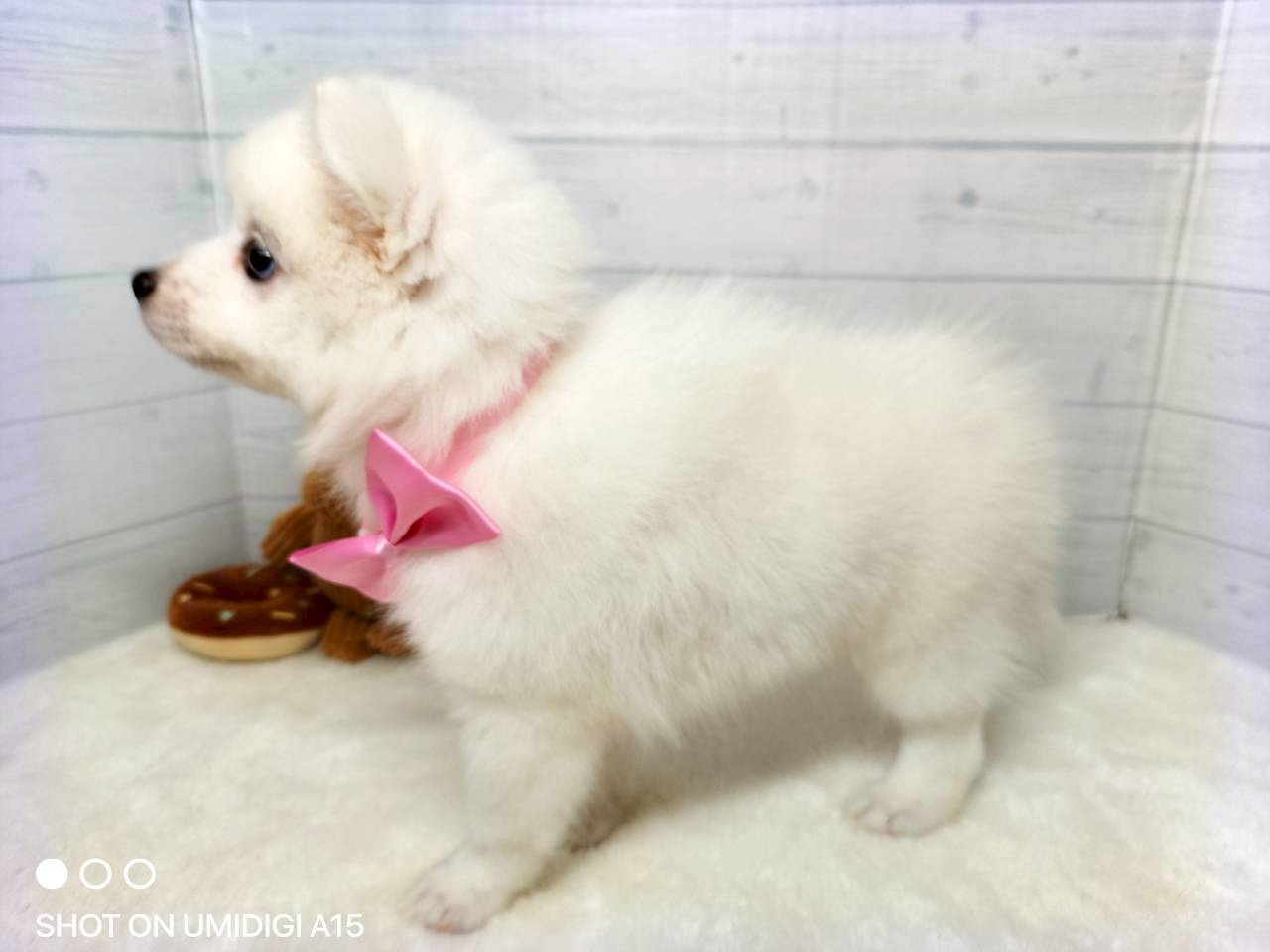 赤ちゃん写真3-2