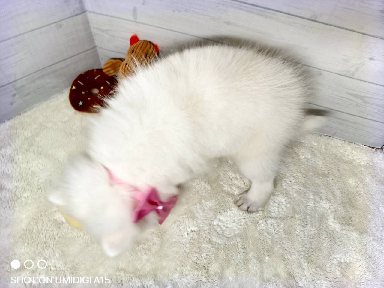 赤ちゃん写真3-3