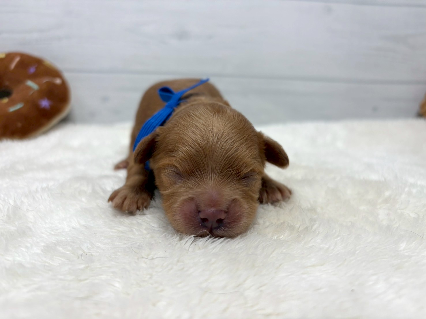 赤ちゃん写真1-1