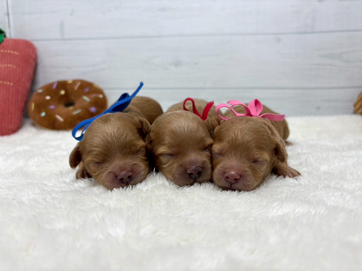 赤ちゃん写真1-3