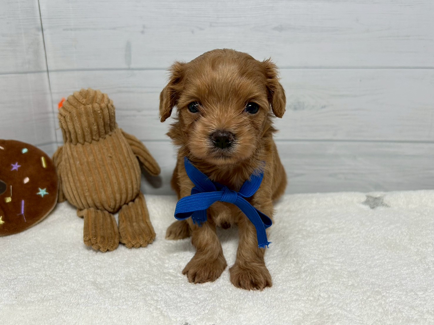 赤ちゃん写真2-1