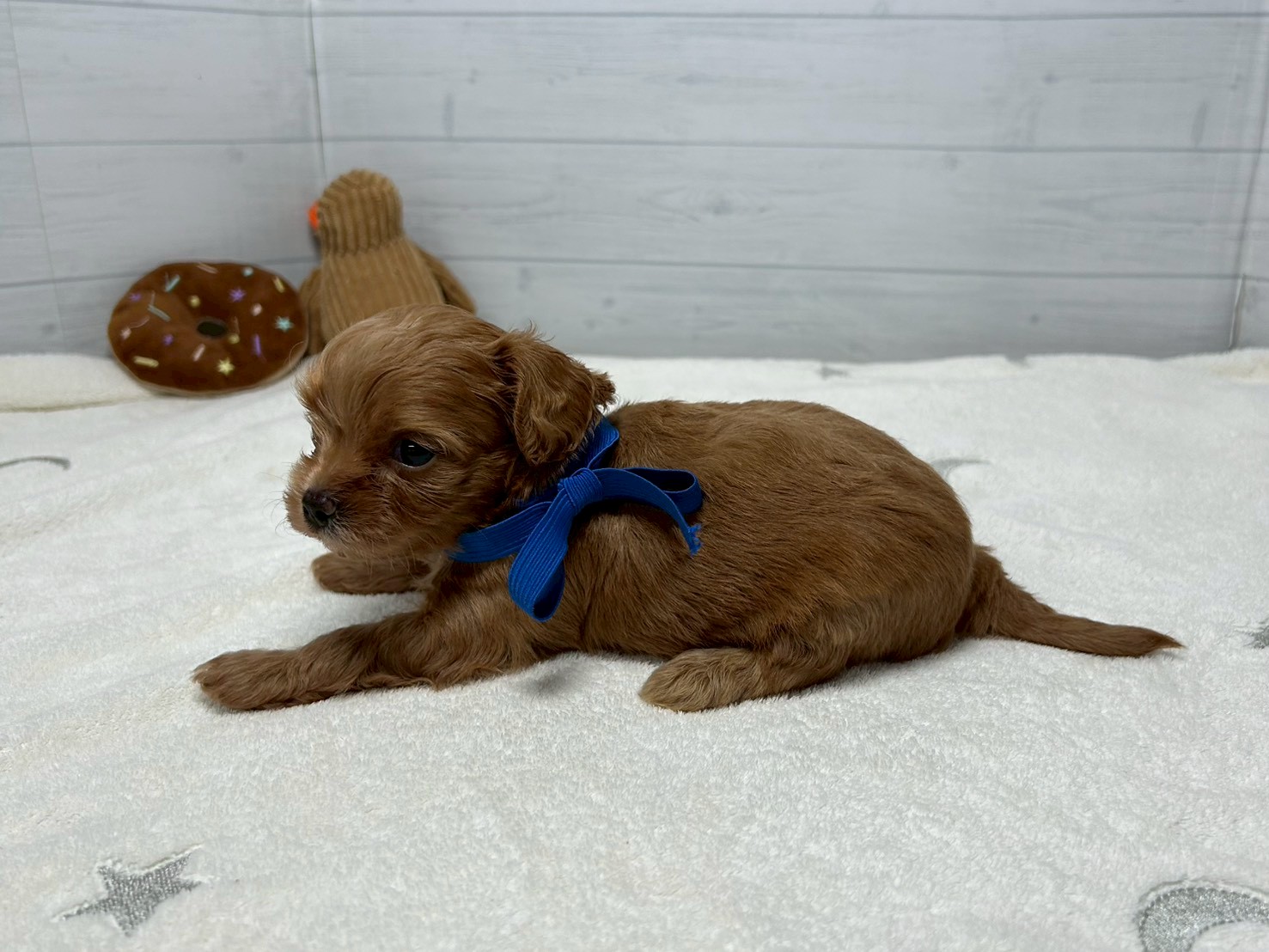 赤ちゃん写真2-2