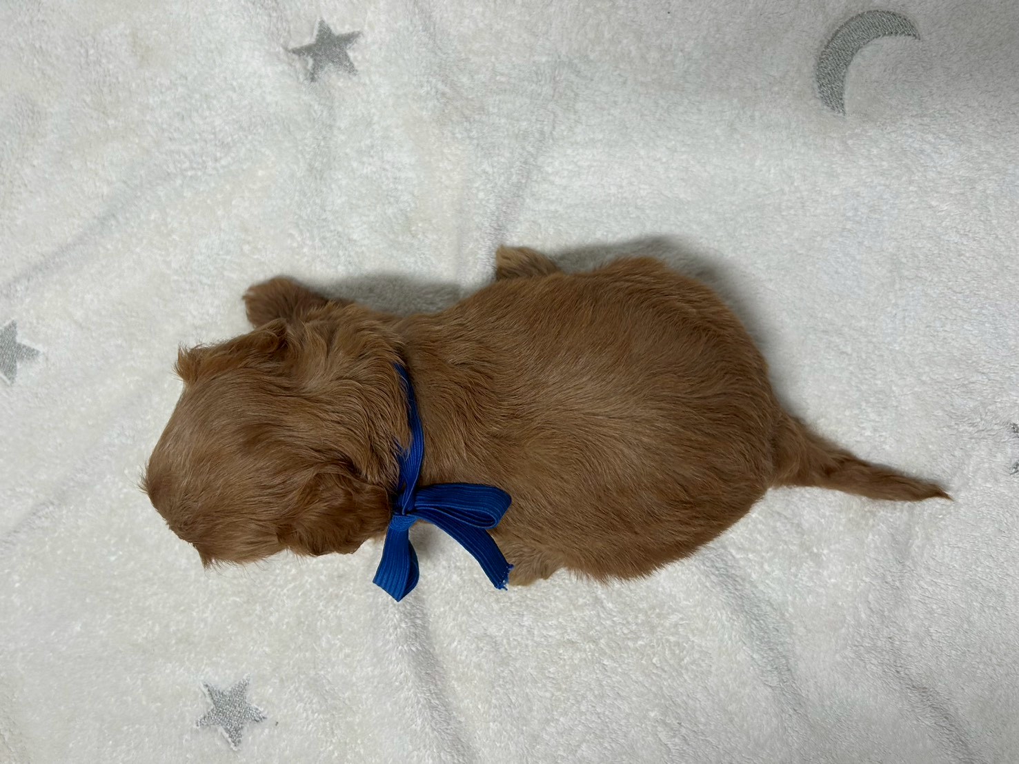 赤ちゃん写真2-3