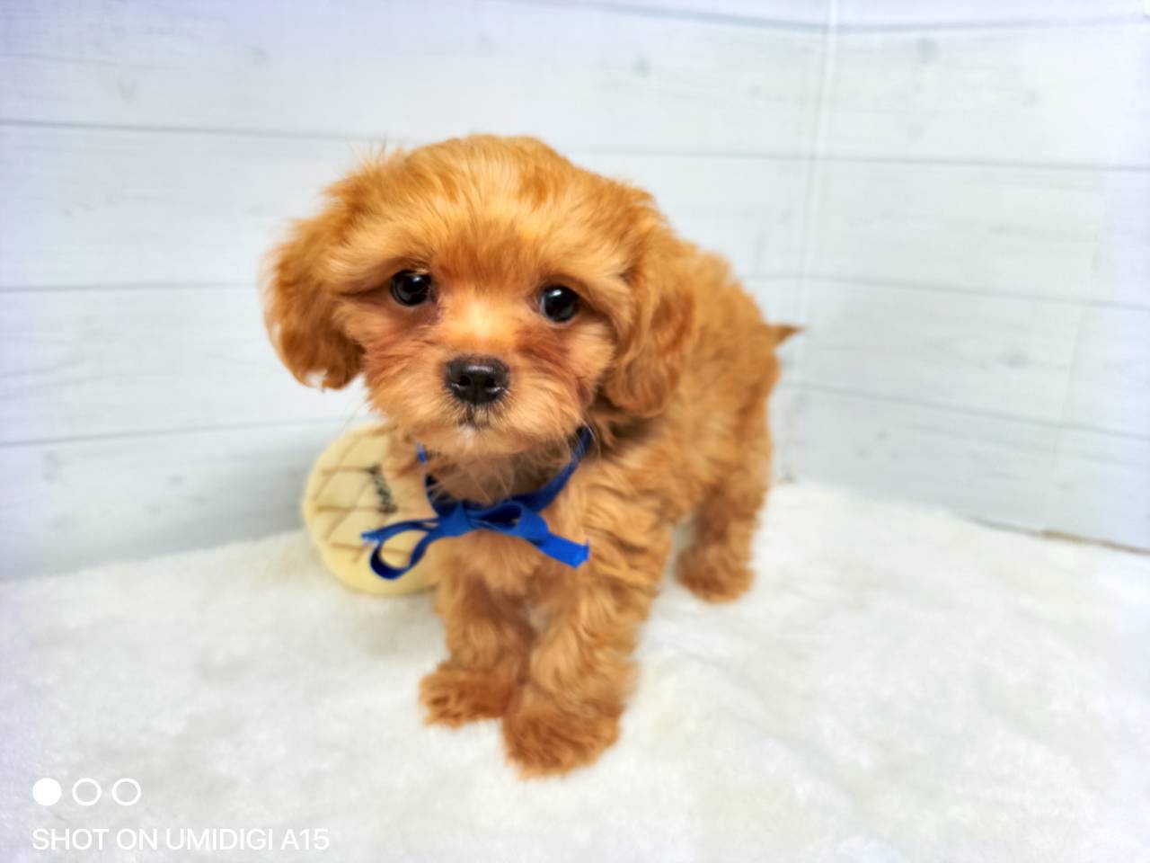 赤ちゃん写真3-1