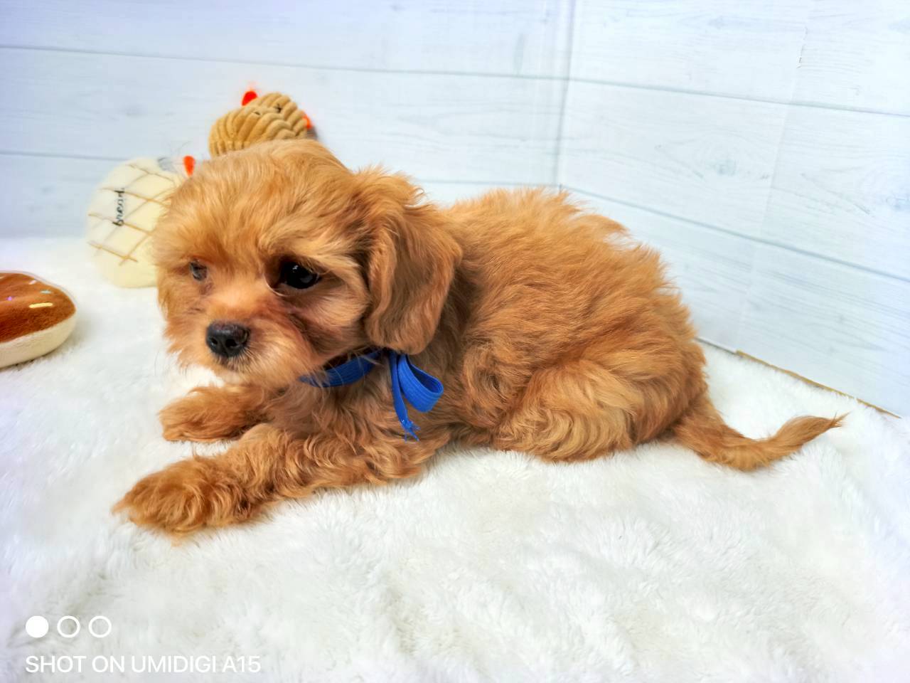 赤ちゃん写真3-2