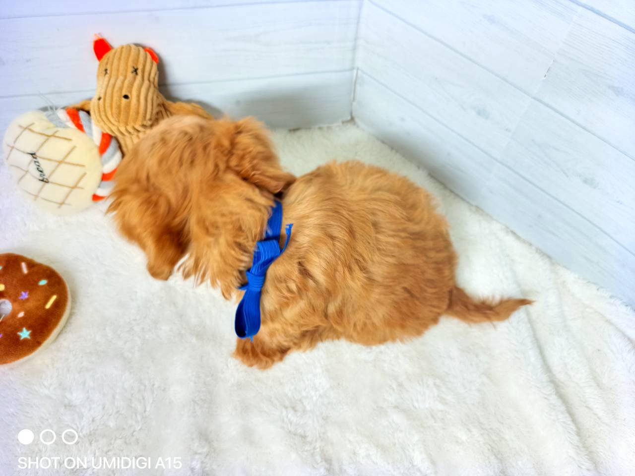 赤ちゃん写真3-3