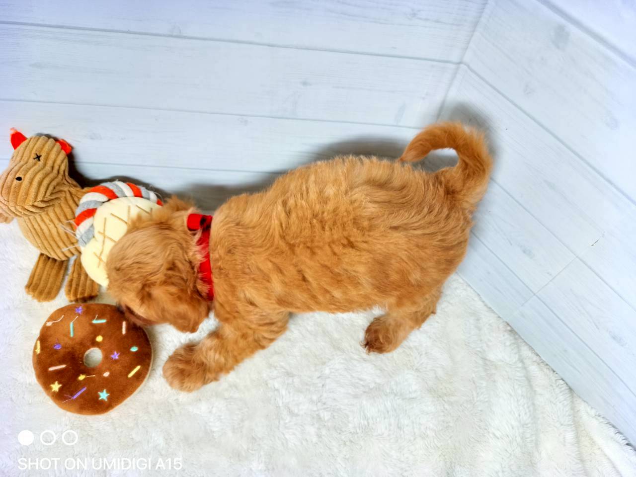 赤ちゃん写真3-3
