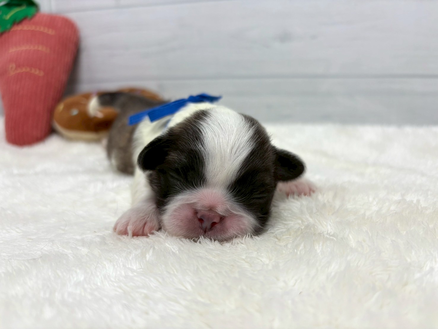 赤ちゃん写真1-1